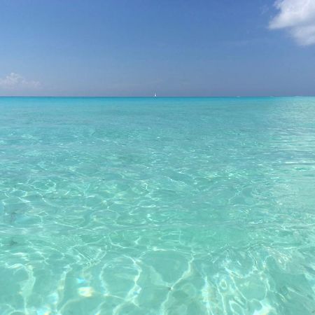 B&B Villa Hibiscus Playa del Carmen Dış mekan fotoğraf