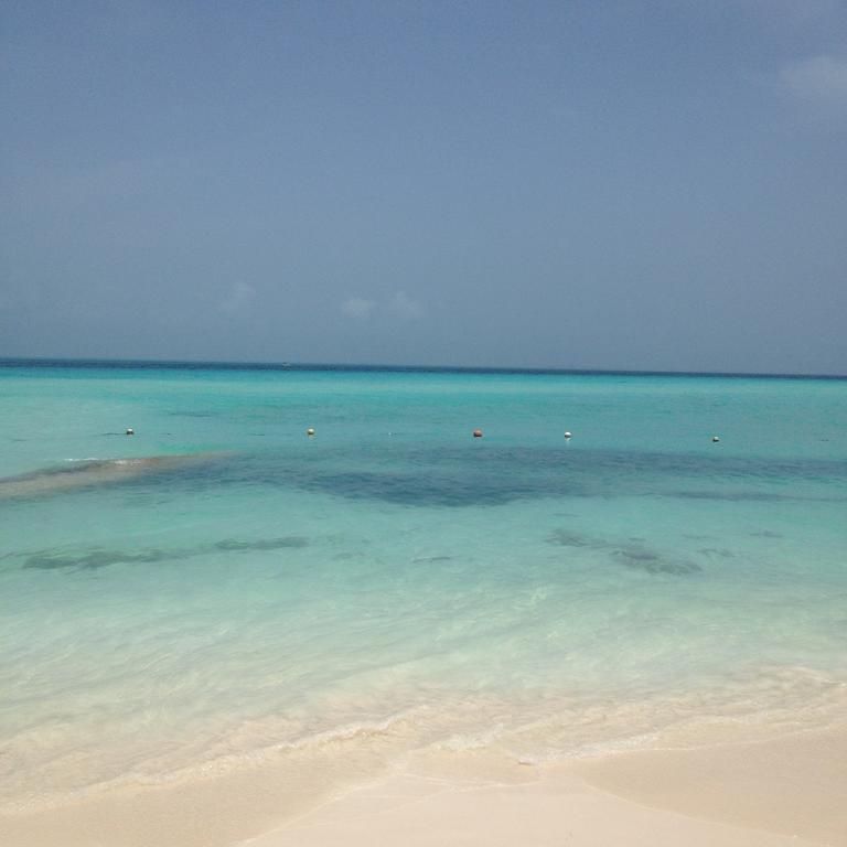 B&B Villa Hibiscus Playa del Carmen Dış mekan fotoğraf