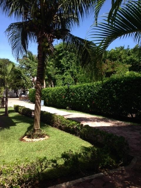 B&B Villa Hibiscus Playa del Carmen Dış mekan fotoğraf
