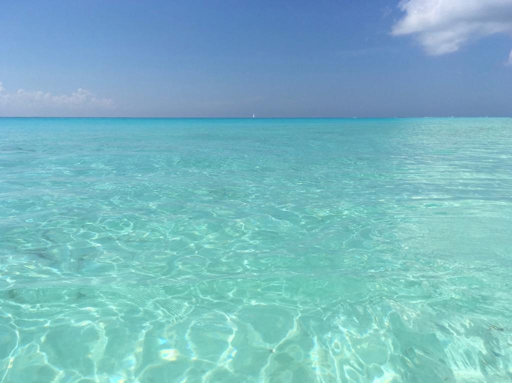 B&B Villa Hibiscus Playa del Carmen Dış mekan fotoğraf